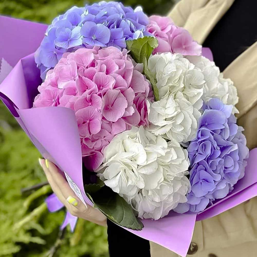 Bouquet Hortensias Deluxe